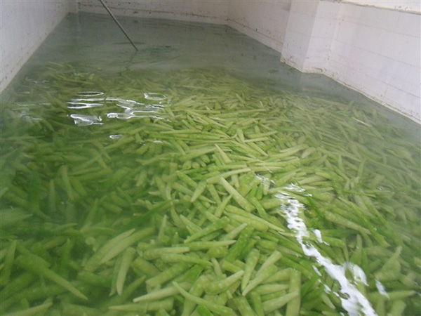 原料清洗預(yù)進